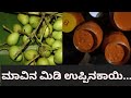 4,000 ಮಾವಿನ ಮಿಡಿ ಉಪ್ಪಿನಕಾಯಿ... ಆಹಾ! / tender mango pickle