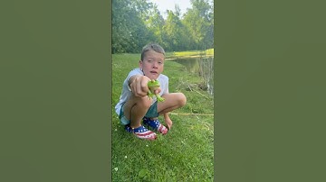 Why You Never Keep A Frog As A Pet! #shorts