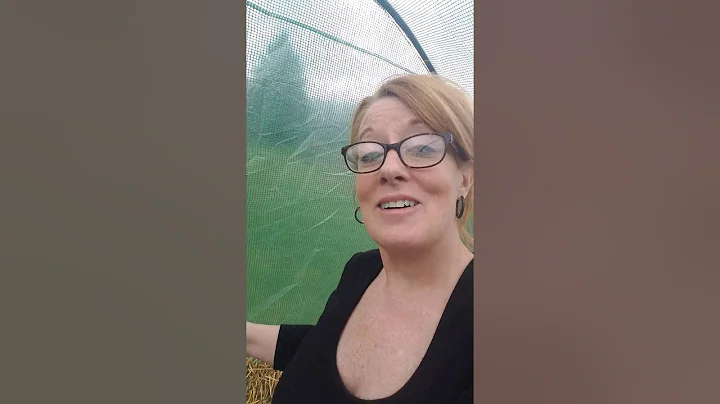 Straw Bale Gardening