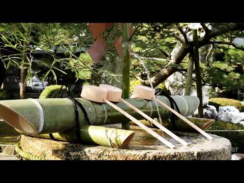 Японская музыка в стиле дзен в японском саду медитации, сна, изучая со звуками ае