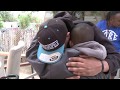 TRY NOT TO CRY! - HOMELESS US VETERAN Gets The Surprise of His Life - Pay It Forward Video