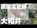 【宮古島移住vlog】ゴルフ練習場の帰り道にすごいとこ見つけた【大和井】