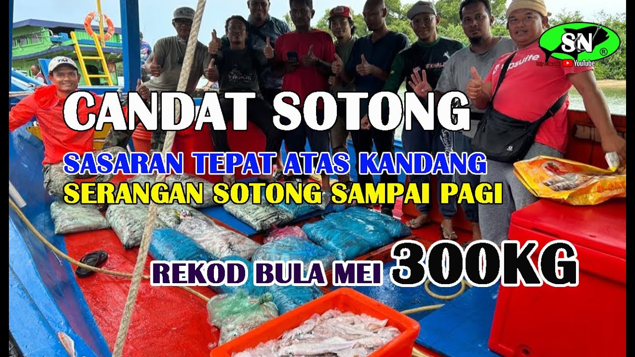 CANDAT SOTONG 🦑 Serangan sotong sampai ke pagi hasil 300KG.