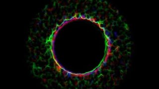 How to make shockwaves in Blender tutorials