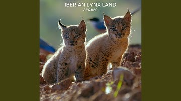 So Close, Yet So Far