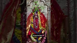 #tarapith #love #maashakti#bhakti#song #shyam #devi #maa #kali  #viral #music #video #life #mata