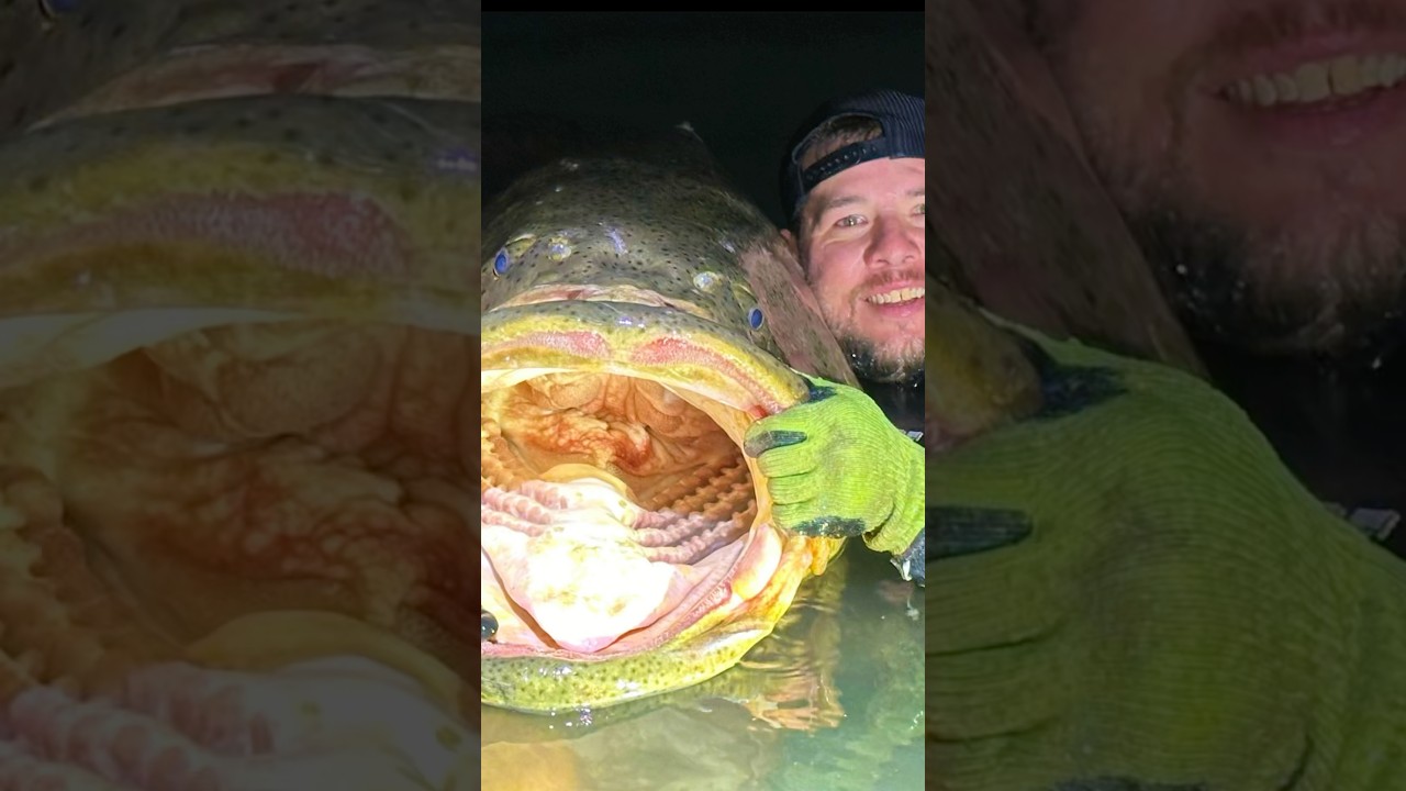 Fisherman Pulled in Water by a Whale!