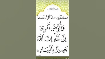 #القرآن_الكريم #القارئ #الشيخ ماهر المعيقلي مع خلفية الآية 44من سورة غافر