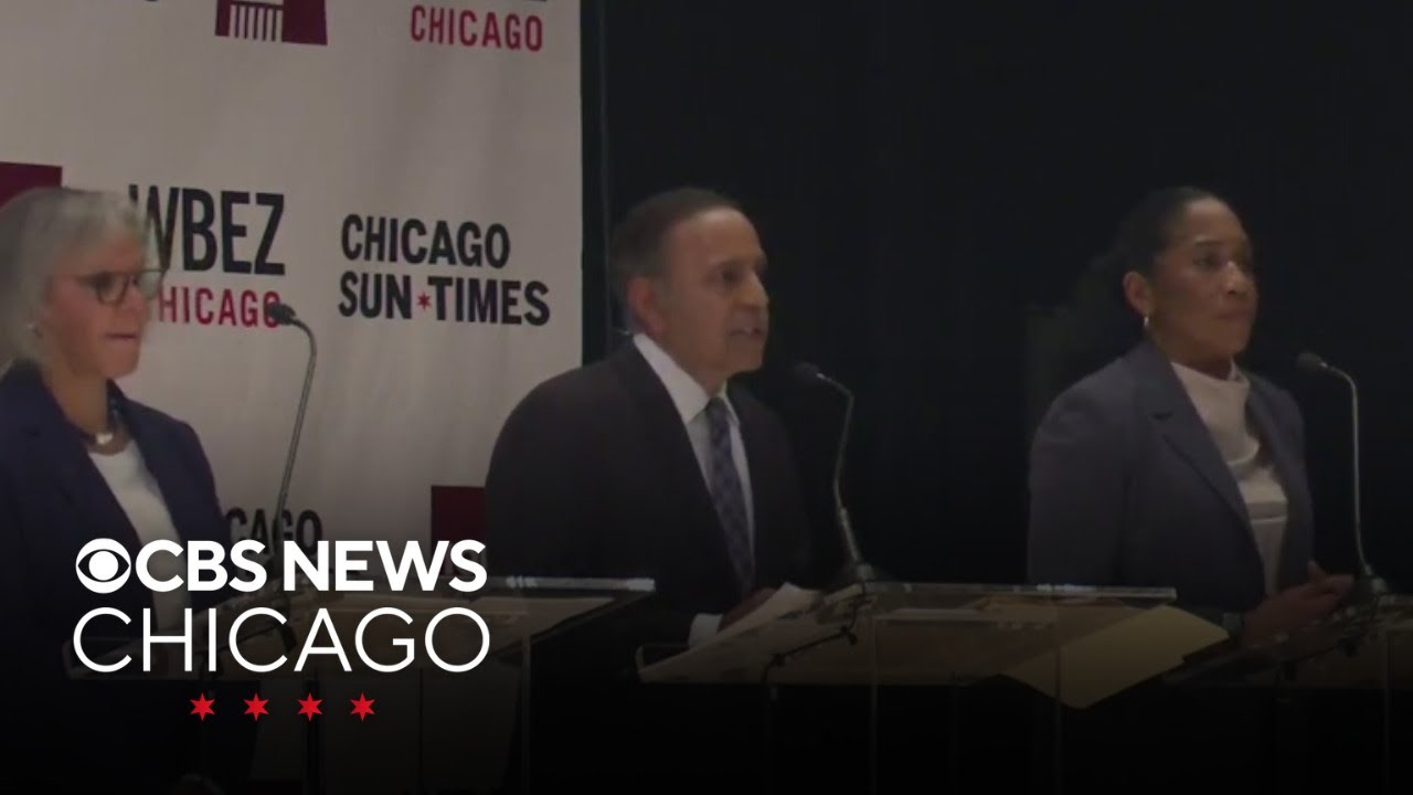 Democratic Illinois U.S. Senate candidates face off in debate