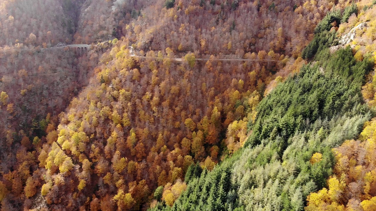 Montseny natural park mavic air drone footage