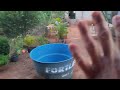 VLOG DO AMANHECER Na ROÇA 🌹🌹🌹🐕🐈🐓🐣🐤faltou energia duas vezes vejam o resultado 🐣🐣🐤👏🏾👏🏾👏🏾👏🏾