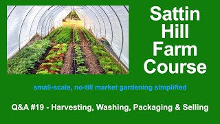 Sattin Hill Farm Course Q&amp;A #19 - Harvesting, Washing, Packaging &amp; Selling