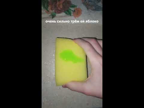Добавки к рациону хомяка. /// Что добавлять и как? #хомяк