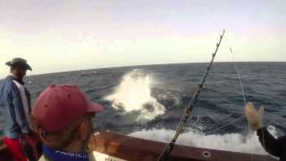 Blue Marlin - Cabo Verde 2014