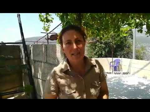 مواطنة من قرية الشندخة تطالب بإقامة مدرسة ثانوية في قريتها