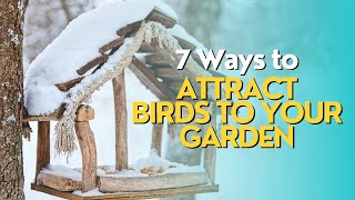 Top 7 Ways to Attract Birds to Your Garden