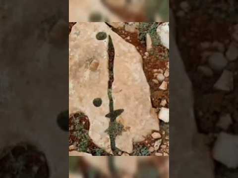 تحليل اشارة السيف