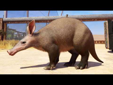 Planet Zoo 2 - Aardvark Gameplay (PS5 UHD) [4K30FPS]
