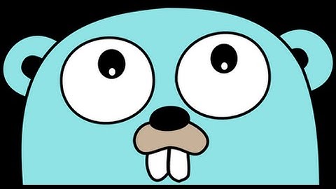 Sean Schade on Moving from Scala to Golang