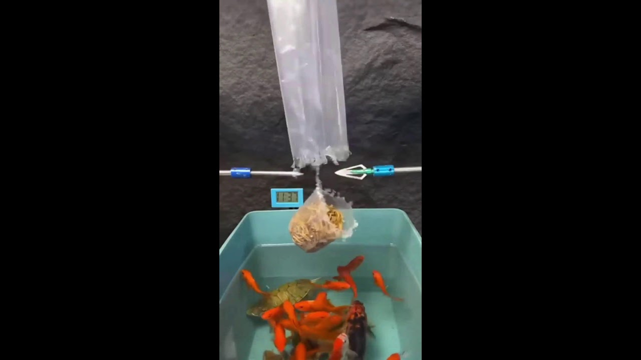 СТРИМ ОНЛАЙН ШОРТС ИГРАЕМ