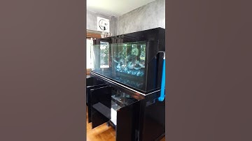 ตู้ปลา ระบบกรองล่าง แบบไม่มีโอเวอร์โฟล