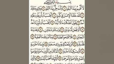 القارئ ياسر القرشي _ سورة البلد(٩٠)