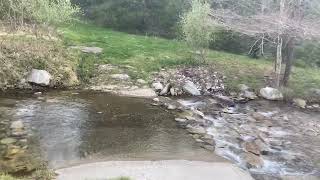 Long Pine Run Reservoir Loop ( Michaux SF)