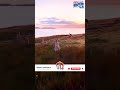 Kangaroo Magic at Beautiful Sunset 🌅