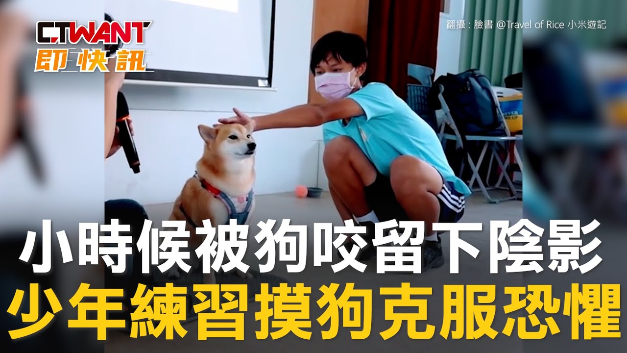 Ctwant 生活趣聞 小時候被狗咬留下陰影少年練習摸狗克服恐懼 Youtube