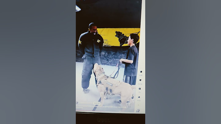 This dog recognized trouble and reacted accordingly increadible speed
