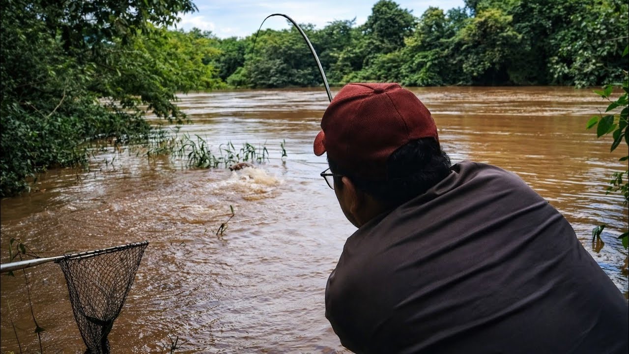 Olha o estrago que esse PIAUÇU fez na minha vara!😳