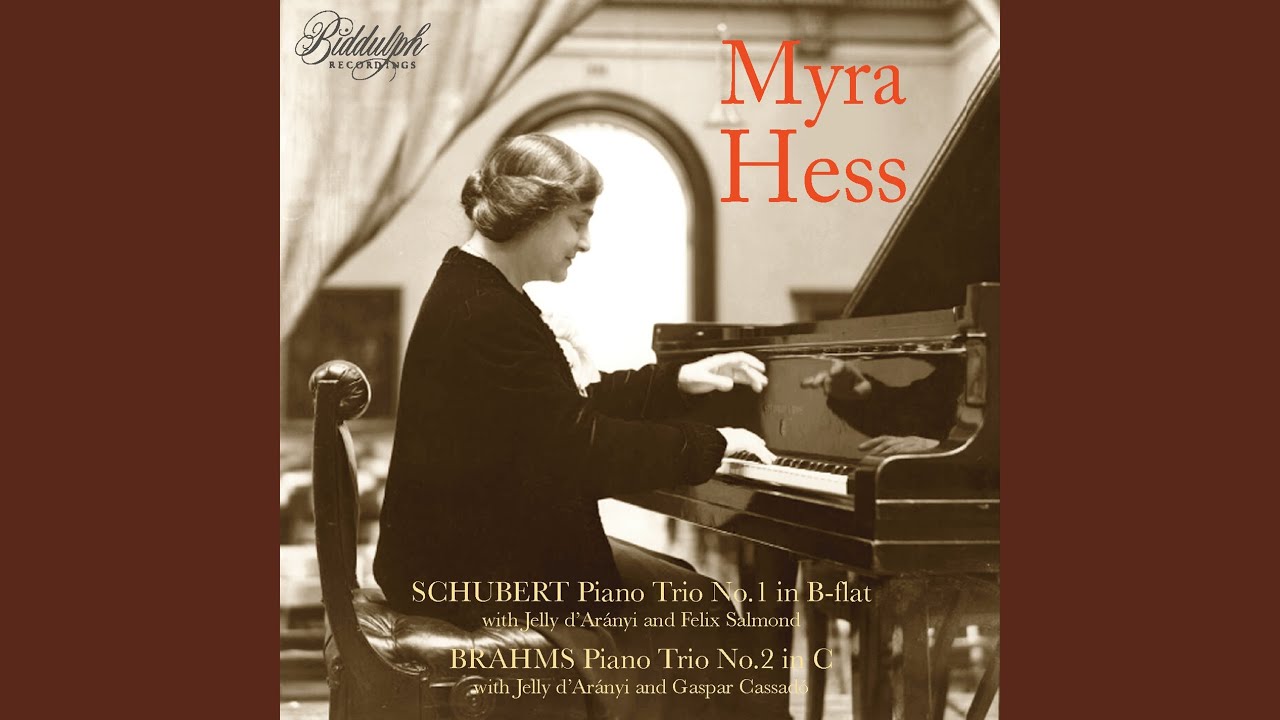 Piano Trio No. 1 in B-Flat Major, Op. 99, D. 898: I. Allegro moderato (Remastered 2024)