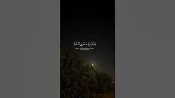 سوره فصلت[30-31]القارئ : ناصر القطامي ❤.اكتب_شئ_توجر_اليه.