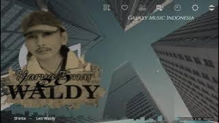 Shinta     -     Leo Waldy