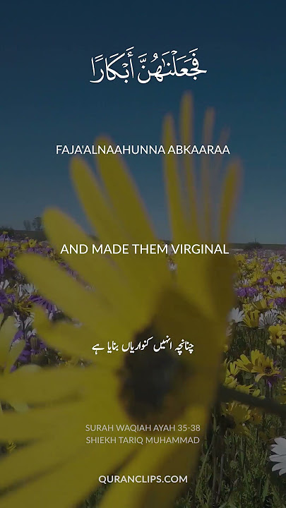 Surah Waqiah Ayah 35-38 Shiekh Tariq Muhammad