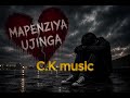 MAPENZI YA UJINGA CK MUSIC 