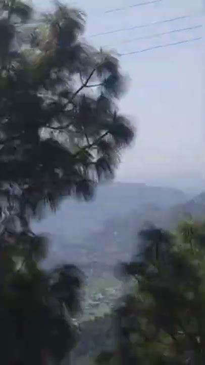 yo te amo #yoteamo  #shorts #nature