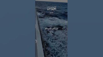 تلاوة هادئة🎧♥️#راحة_نفسية #قرآن #تلاوة_خاشعة #quran #معاذ_صيام #القرآن_الكريم #سورة_يس