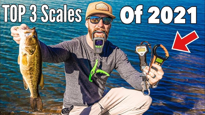 How to change batteries in a bass pro fish scale 