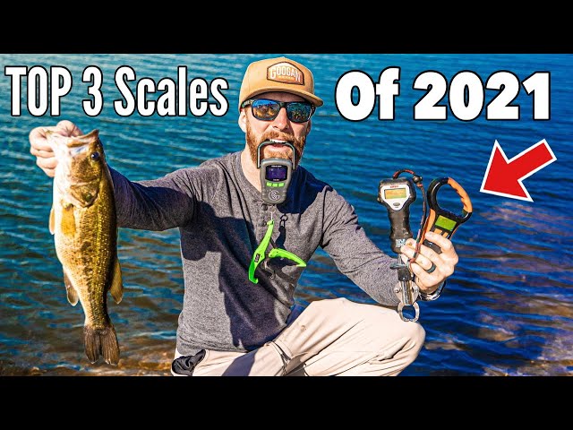 How To Weigh Fish & Hold A Bass Properly (fishing tutorial) Best Scales of  2021 