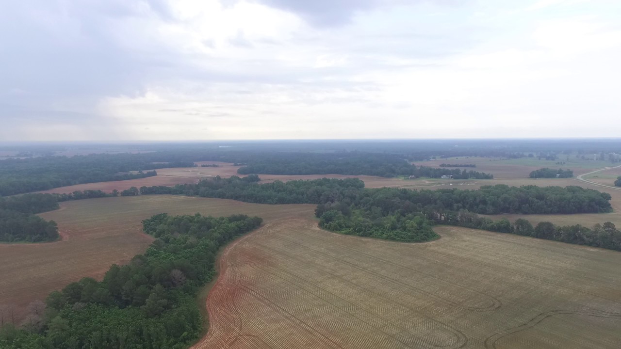 06/12/2017 Bronwood, GA Dry Land Peanuts GA06G Pt. 3 YouTube