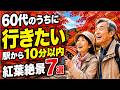 【60代の秋旅】歩く距離が短い紅葉名所7選｜見頃・坂・段差まで徹底解説