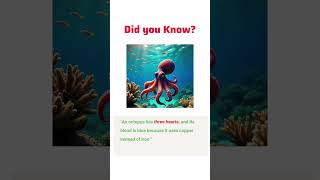 Amazing Octopus Facts 🐙 | Smartest Sea Creature! #shorts #knowledge