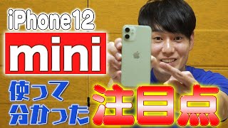 iPhone12 mini 使って分かった注目点【サイズ感(SE1･SE2比較)、カメラ性能(12Proシリーズ比較)】