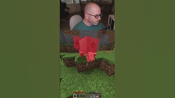 pigs are dirty noise makers #minecraft #java #pcgaming