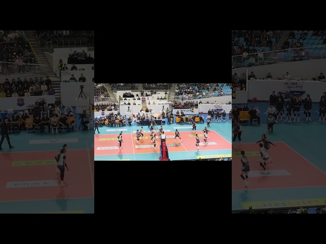 4/1 한국도로공사 하이패스 배구단 주요 득점장면#김천#김천실내체육관#한국도로공사하이패스배구단#강소휘#모마#김세빈#김세인#타나차#배유나#이윤정#황연주#문정원#주요득점장면