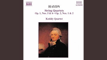 String Quartet No. 7 in A Major, Op. 2, No. 1, Hob. III:7: I. Allegro