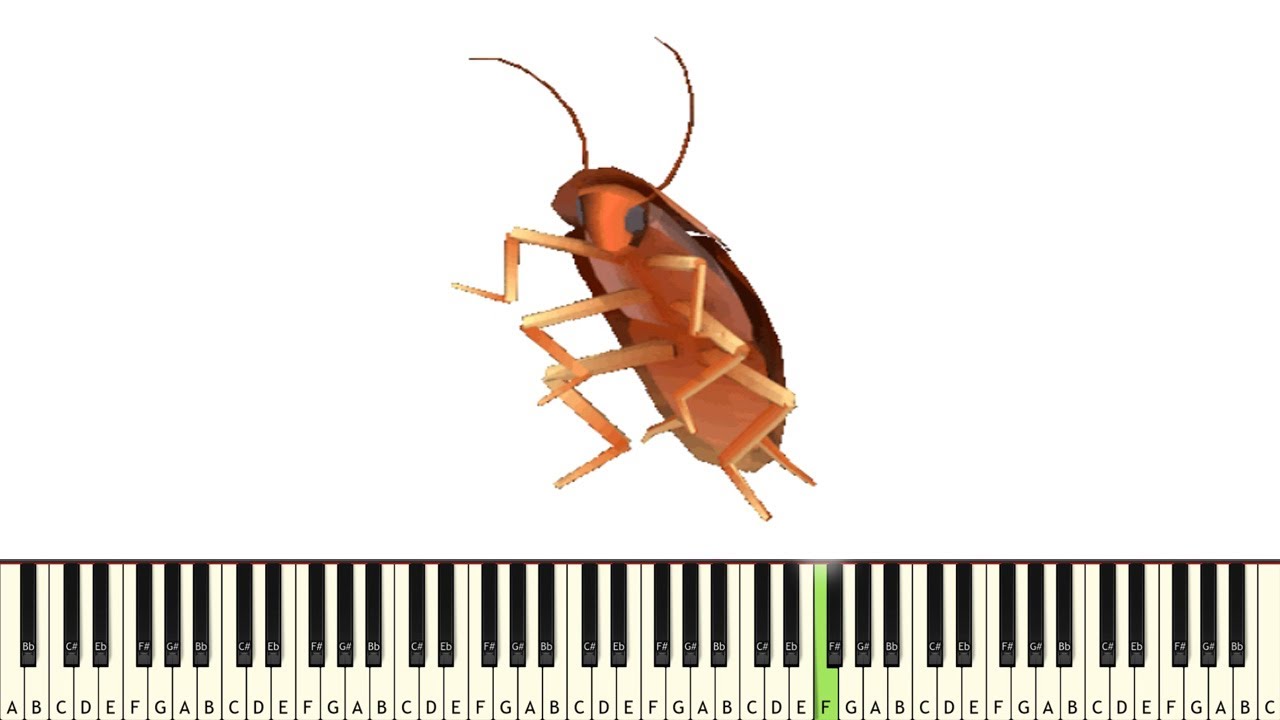 Spinning Cockroach MEME PIANO TUTORIAL YouTube