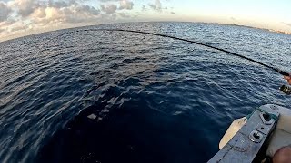 Pescando PEZ LIMON al Jigging