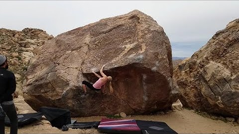 Unnamed* (V4) Flash - Joshua Tree